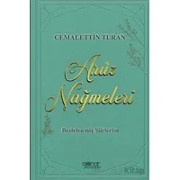 Arûz Nağmeleri - Cemalettin Turan - Gülnar Yayınları