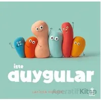İşte Duygular - Larissa Honsek - Doğan Çocuk