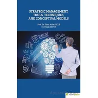 Strategic Management Tools, Techniques and Conceptual Models - Dilşah Ertop - Hiperlink Yayınları