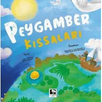 Peygamber Kıssaları - Gül Çiçek - Çınaraltı Yayınları