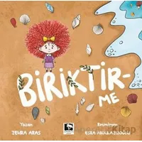 Biriktir-Me - Zehra Aras - Çınaraltı Yayınları