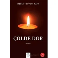 Çölde Dor - Mehmet Levent Kaya - Post Yayınevi