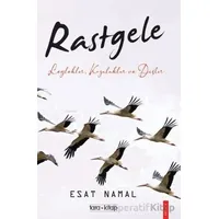 Rastgele; Leylekler, Kozalaklar ve Düşler - Esat Namal - Tara Kitap