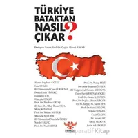 Türkiye Bataktan Nasıl Çıkar? - Ahmet Ercan - Pankuş Yayınları