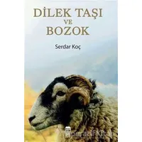 Dilek Taşı ve Bozok - Serdar Koç - Ceren Kitap