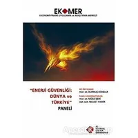 Enerji Güvenliği : Dünya ve Türkiye Paneli 2010