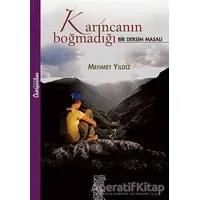 Karıncanın Boğmadığı Chiviyazıları Yayınevi