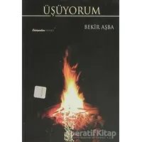 Üşüyorum - Bekir Aşba - Chiviyazıları Yayınevi