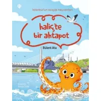 İstanbul’un Acayip Hayvanları Haliçte Bir Ahtapot - Bülent Ata - Türkiye Diyanet Vakfı Yayınları