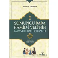 Somoncu Baba Hamid-i Velinin Tasavvufa Dair Üç Risalesi - Enbiya Yıldırım - Ensar Neşriyat