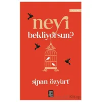Neyi Bekliyorsun? - Sinan Özyurt - Temmuz Yayınları