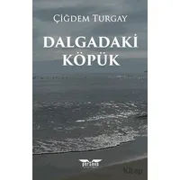 Dalgadaki Köpük - Çiğdem Turgay - Perseus