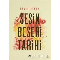 Sesin Beşeri Tarihi: Gürültü - David Hendy - Kolektif Kitap