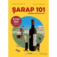 Şarap 101 - Fransa Şarapları - François Bachelot - Desen Yayınları
