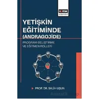 Yetişkin Eğitiminde (Andragojide) Program Geliştirme ve Eğitmen Rolleri