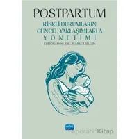 Postpartum - Kolektif - Nobel Akademik Yayıncılık