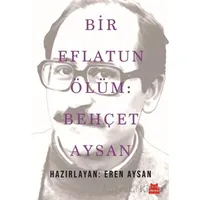 Bir Eflatun Ölüm: Behçet Aysan - Kolektif - Kırmızı Kedi Yayınevi