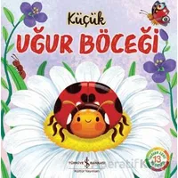 Küçük Uğur Böceği - Wednesday Jones - İş Bankası Kültür Yayınları
