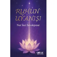 Ruhun Uyanışı - Nur İnci Sovukpınar - Gülnar Yayınları