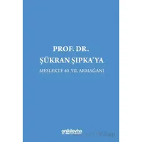Prof. Dr. Şükran Şıpkaya Meslekte 40. Yıl Armağanı - Nesli Beril Özen Çolak - On İki Levha Yayınları