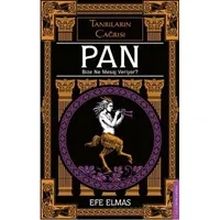 Pan Bize Ne Mesaj Veriyor? - Efe Elmas - Destek Yayınları