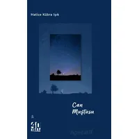 Can Muştusu - Hatice Kübra Işık - 40 Kitap