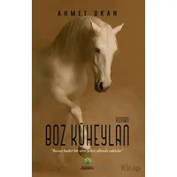 Boz Küheylan - Ahmet Okan - Platanus Publishing