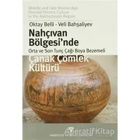 Nahçıvan Bölgesinde Orta ve Son Tunç Çağı Boya Bezemeli Çanak Çömlek Kültürü