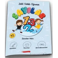 Zeka Odaklı Öğrenim - Sayılar - Emrehan Halıcı - ODTÜ Geliştirme Vakfı Yayıncılık