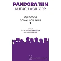 Pandoranın Kutusu Ac¸ılıyor - Veda Bilican Gökkaya - Akademisyen Kitabevi