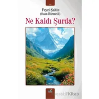 Ne Kaldı Şurda? - Feyzi Şahin - İzan Yayıncılık
