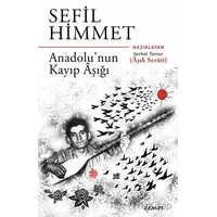 Sefil Himmet Anadolu’nun Kayıp Aşığı - Serhat Tomur - Demos Yayınları