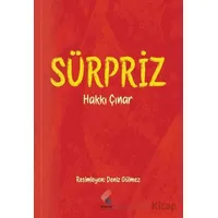Sürpriz - Hakkı Çınar - Klaros Yayınları