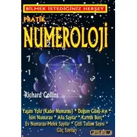 Pratik Numeroloji - Richard Collins - Platform Yayınları
