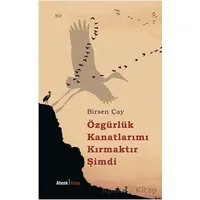 Özgürlük Kanatlarımı Kırmaktır Şimdi - Birsen Çay - Ahenk Kitap