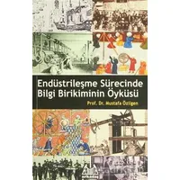 Endüstrileşme Sürecinde Bilgi Birikiminin Öyküsü - Mustafa Özilgen - Arkadaş Yayınları
