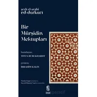 Bir Mürşidin Mektupları - Şeyh el-Arabî ed-Darkavî - İnsan Yayınları