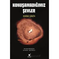Konuşamadığımız Şeyler - Edibe Şirin - Öteki Yayınevi