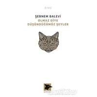 Olmaz Diye Düşündüğümüz Şeyler - Şebnem Balevi - Alakarga Sanat Yayınları