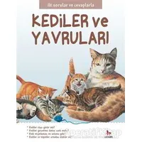 Kediler ve Yavruları - İlk Sorular ve Cevaplarla - Camilla de la Bedoyere - Almidilli