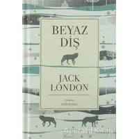 Beyaz Diş - Jack London - Koridor Yayıncılık