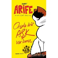 Arife - Evde Cat Başına - Rewhat - Alfa Yayınları