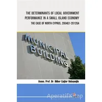The Determinants of Local Government Performance In A Small Island Economy