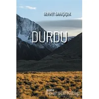 Durdu - Servet Sarıçiçek - Cinius Yayınları