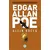 Altın Böcek - Edgar Allan Poe - Maviçatı Yayınları