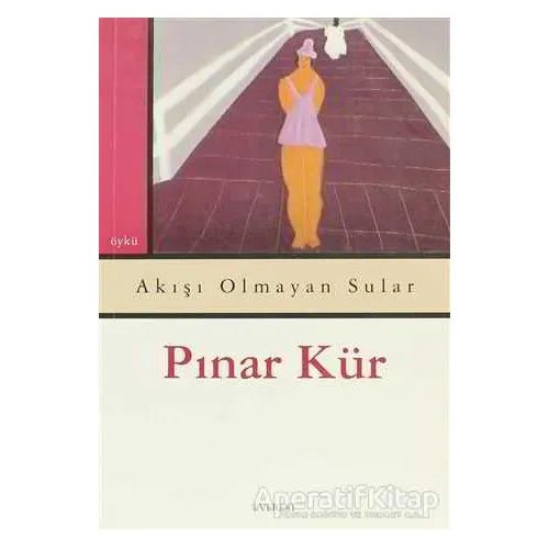 Akışı Olmayan Sular - Pınar Kür - Everest Yayınları
