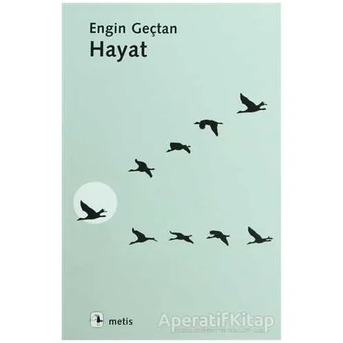Hayat - Engin Geçtan - Metis Yayınları