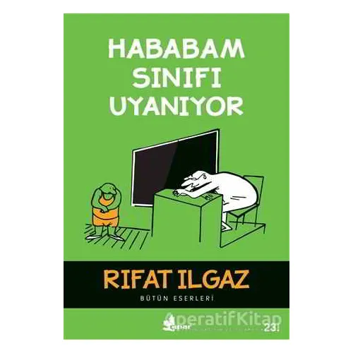 Hababam Sınıfı Uyanıyor - Rıfat Ilgaz - Çınar Yayınları