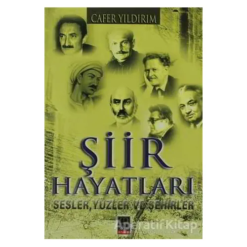 Şiir Hayatları - Cafer Yıldırım - Babıali Kitaplığı