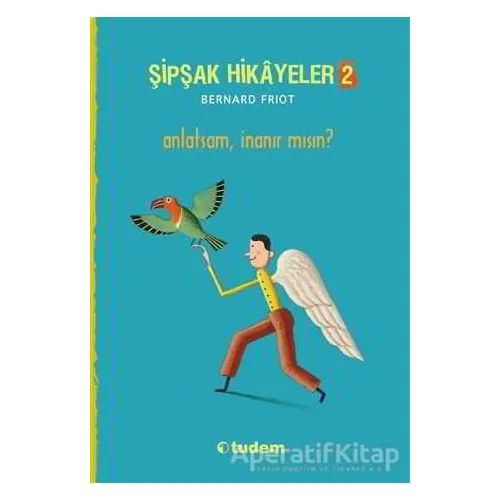 Şipşak Hikayeler 2 / Anlatsam İnanır mısın? - Bernard Friot - Tudem Yayınları